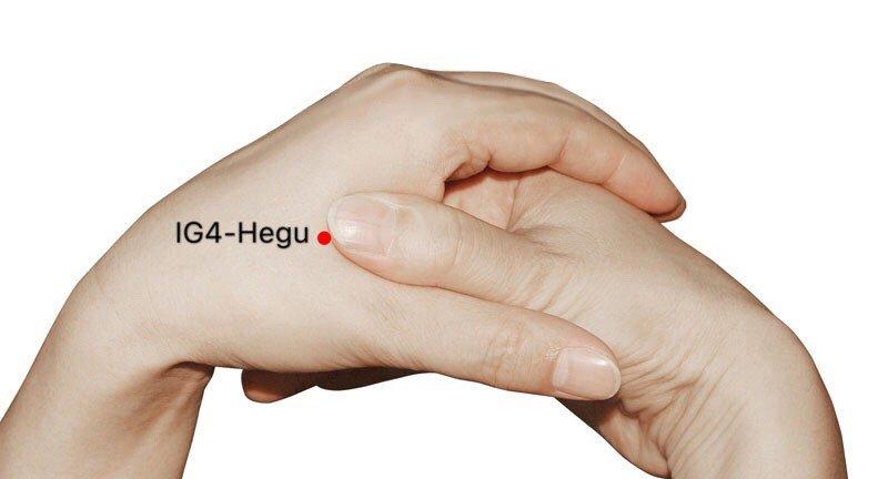 Hegu Large Intestine 4 point. Both hands show how to locate it.